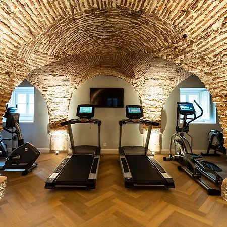 Palacio Ludovice Wine Experience فندق 5*